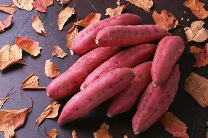 1 củ khoai lang bao nhiêu calo? Ăn khoai lang có giảm cân không?