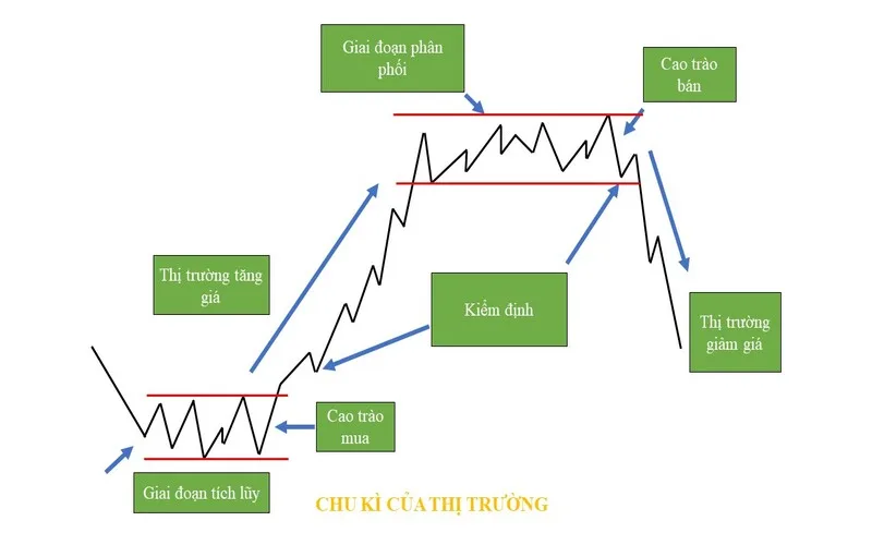 chung khoan la gi kien thuc co ban danh cho nguoi moi bat dau