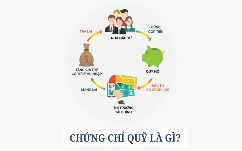 chung khoan la gi kien thuc co ban danh cho nguoi moi bat dau